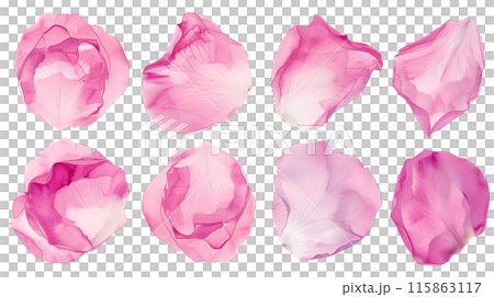 Set of isolated pastel pink rose petals in watercolor painting style on a transparent background. 115863117
