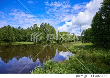 Beautiful summer river at sunny day with clouds reflection in the water 115863136