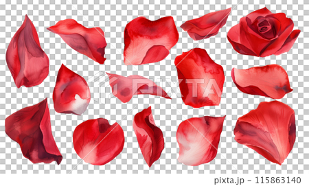 Set of isolated red rose petals in watercolor painting style on a transparent background. Set of isolated red rose petals in watercolor painting style on a transparent background. 115863140