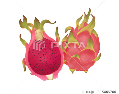 レッドピタヤ(レッドドラゴン) ドラゴンフルーツ 一個と半分 レッドピタヤ(レッドドラゴン) ドラゴンフルーツ 一個と半分 115863766