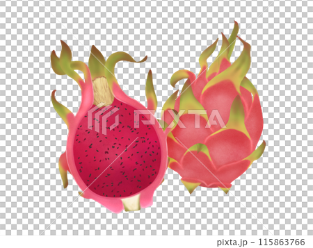 レッドピタヤ(レッドドラゴン) ドラゴンフルーツ 一個と半分 レッドピタヤ(レッドドラゴン) ドラゴンフルーツ 一個と半分 115863766