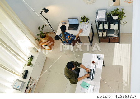 Colleagues Working In Modern Office Colleagues Working In Modern Office 115863817
