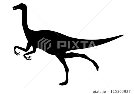 Dinosaur gallimimus silhouette 115863927