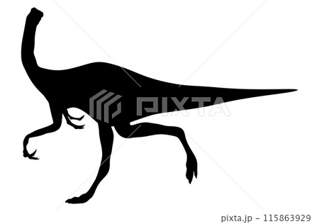 Dinosaur gallimimus silhouette 115863929