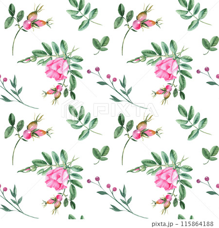 Dog rose Floral Watercolor seamless pattern on white background. Hand drawn botanical illustration. Rose hip flowers, buds, branches and berries. Can be used for fabric, textile, packaging prints 115864188