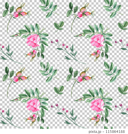 Dog rose Floral Watercolor seamless pattern on white background. Hand drawn botanical illustration. Rose hip flowers, buds, branches and berries. Can be used for fabric, textile, packaging prints 115864188