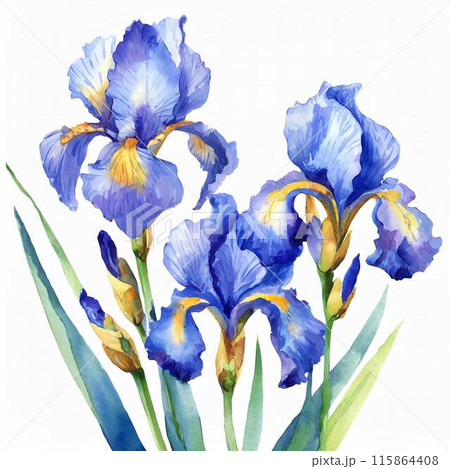 水彩画「菖蒲と水草」 hq720.jpg?sqp=-