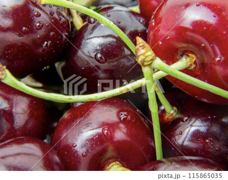 A closeup view of a group of cherries with fresh green stems 115865035