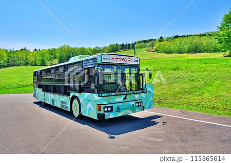 サホロリゾート ベアマウンテンの景観 サホロリゾート ベアマウンテンの景観 115865614