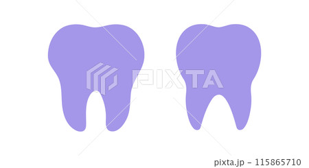 Tooth icon. Dental Silhouette. Vector educational illustration Tooth icon. Dental Silhouette. Vector educational illustration 115865710
