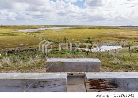 the dutch island of Ameland in the north sea 115865943