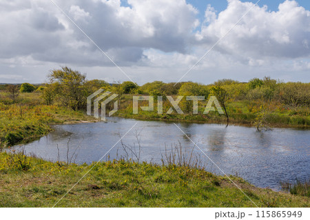 the dutch island of Ameland in the north sea 115865949