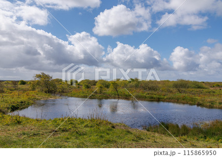 the dutch island of Ameland in the north sea 115865950