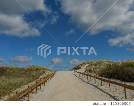 Ameland island in the netherlands 115866007