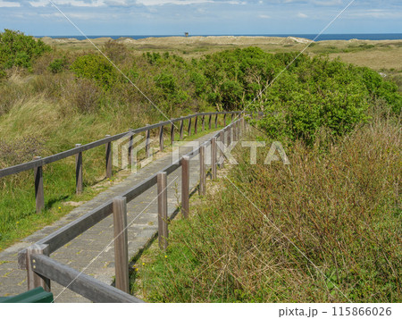 Ameland island in the netherlands 115866026