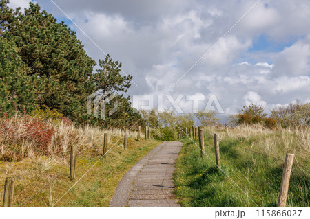 Ameland island in the netherlands 115866027