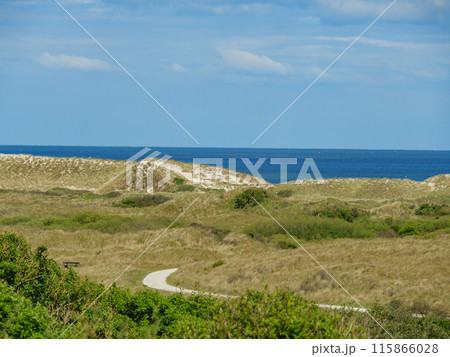 Ameland island in the netherlands 115866028