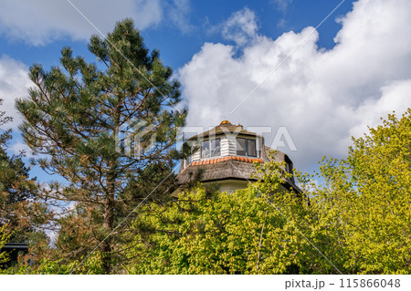 Ameland island in the netherlands 115866048