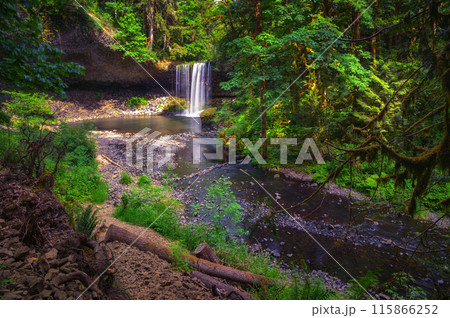 Beaver Falls cascading into a serene pool surrounded by dense forests of Oregon 115866252