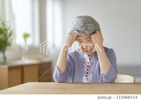 頭を抱える80代の女性 頭を抱える80代の女性 115866514