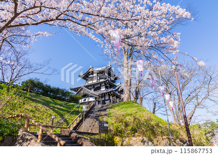 日本さくら名所100選　新潟　高田城址公園 115867753