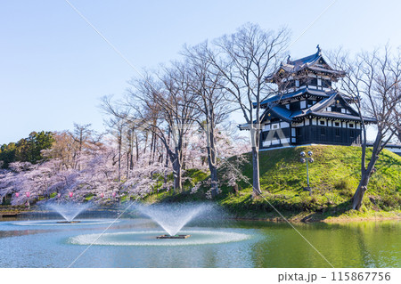 日本さくら名所100選 新潟 高田城址公園 日本さくら名所100選 新潟 高田城址公園 115867756