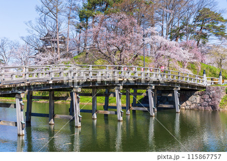 日本さくら名所100選　新潟　高田城址公園 115867757