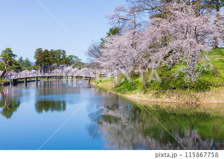 日本さくら名所100選 新潟 高田城址公園 日本さくら名所100選 新潟 高田城址公園 115867758