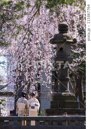 日本さくら名所100選　新潟　高田城址公園 115867764