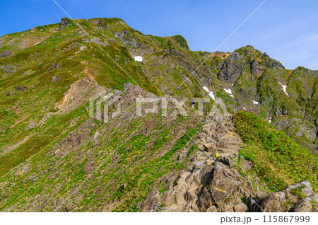 群馬県・初夏の谷川岳西黒尾根の急登を登る登山者 115867999