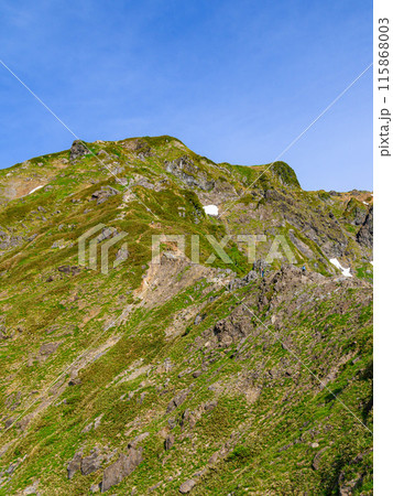 群馬県・初夏の谷川岳西黒尾根の急登を登る登山者 115868003