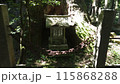 熊野神社の大杉 115868288