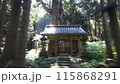 熊野神社の大杉 115868291