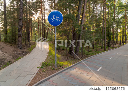 A bike path through a forest 115868676