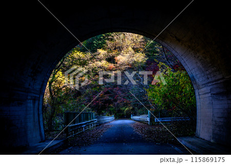 トンネルの中から見る紅葉 115869175