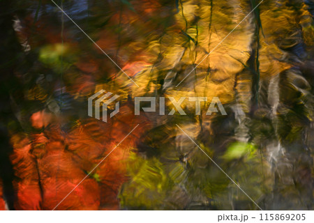 水面に写る抽象的な紅葉の模様 115869205