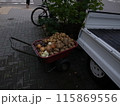 手押し車と収穫した野菜 115869556