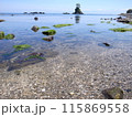 透き通った海 115869558