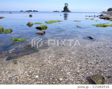 透き通った海 115869558