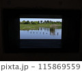 窓から見る景色 115869559