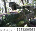 磐のある風景 115869563