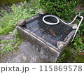 涼しい夏 115869578