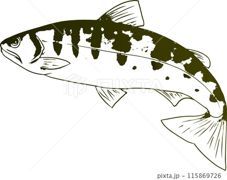 シンプルな跳ねる山女のイラスト シンプルな跳ねる山女のイラスト 115869726