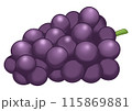 紫ぶどうのイラスト（主線なし） 115869881