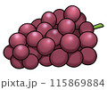 赤紫ぶどうのイラスト（主線あり） 115869884