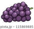 紫ぶどうのイラスト（主線あり） 115869885