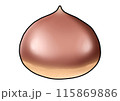 栗の実のイラスト（主線あり） 115869886