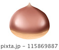 栗の実のイラスト（主線なし） 115869887