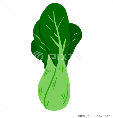 青梗菜 115870437