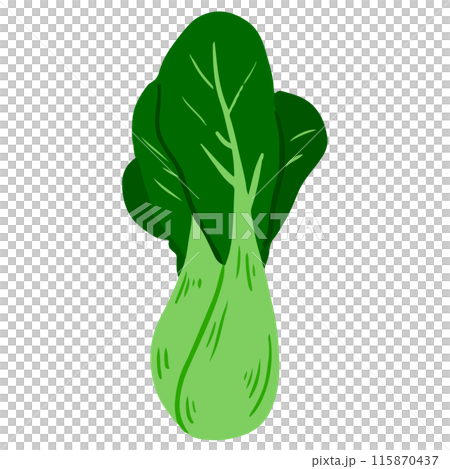 青梗菜 115870437